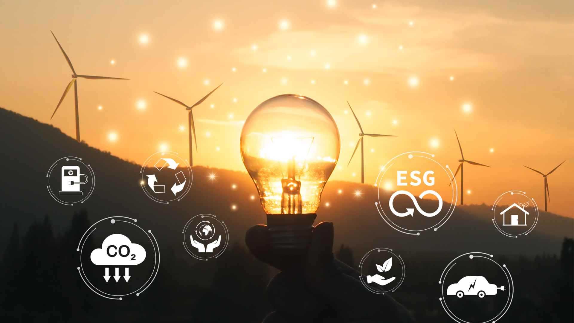 Forest canopy and community energy — carbon & ESG
